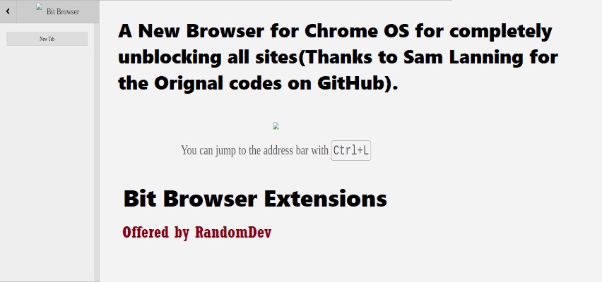 bit browser extension
